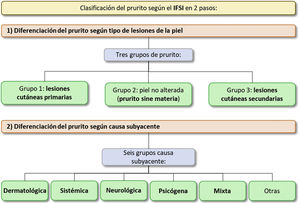 Classification of pruritus according to the IFSI in two steps.9