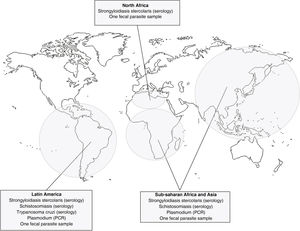 Proposal for a screening protocol for imported diseases in migrant kidney transplant candidates according to origin. *After the initial protocol, Plasmodium sp. screening by serology and peripheral blood smear has been replaced by PCR testing, with better sensitivity for detection. **In addition, after the initial study, tests for HTLV I-II, Histoplasma capsulatum and Entamoeba histolytica have been removed from the screening. **For detection of parasites in feces, analysis of the fresh sample is recommended. Abbreviations: HTLV I-II, human T-cell lymphotropic viruses type I and II.