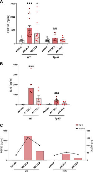 Relationship between IL-6 and cFGF23 levels in mice with AKI induced in WT mice and Tg-Kl mice with klotho gene overexpression. Plasma cFGF23 levels (A) and cytokine IL-6 (B) in WT mice and klotho-overexpressing mice (Tg-Kl) 24 and 72 h after AKI induction. (C) Relationship between cytokine IL-6 and cFGF23 in WT and Tg-Kl mice 24 and 72 h after induction of AKI (C). *p < 0.05, ***p < 0.001 vs WT vehicle; ###p < 0.001 vs WT group 24 h post-AKI.