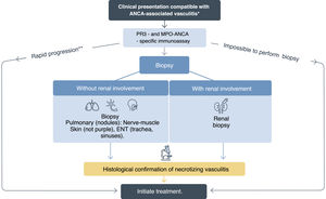 Diagnostic strategy in vasculitis associated to anti-neutrophil cytoplasmic antibodies (ANCA). The diagnosis should be based on three aspects: clinical manifestations, serology and histology. *See Table 2. Clinical features of GPA and MPA. **If rapidly progressive and ANCA positive, it is not necessary to wait for biopsy results to initiate treatment. ANCA: anti-neutrophil cytoplasmic antibodies; PR3: proteinase 3; MPO: myeloperoxidase; ENT: otorhinolaryngologic.