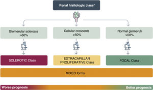 Prognostic renal histopathological classification of anti-neutrophil cytoplasmic antibody (ANCA)-associated vasculitis. *Since it is a systemic disease, despite the different prognosis, it is essential to treat the patient: histology should not modify the intensity of treatment. ANCA: anti-neutrophil cytoplasmic antibody; MPO: myeloperoxidase; PR3: proteinase 3.