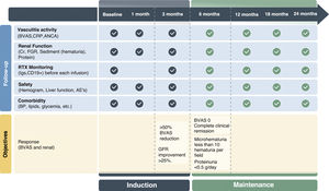 Targets and follow-up of anti-neutrophil cytoplasmic antibody (ANCA)-associated vasculitides with predominantly renal involvement CRP: C-reactive protein; ANCA: anti-neutrophil cytoplasmic antibodies; BVAS: Birmingham Vasculitis Activity Score; Crs: serum creatinine; GRF: renal glomerular filtration rate; Igs: immunoglobulins; RTX: rituximab; AE: adverse effect; BP: blood pressure.