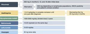 Dosis of maintenance therapy for anti-neutrophil cytoplasmic antibody (ANCA)-associated vasculitis. ANCA: anti-neutrophil cytoplasmic antibodies.