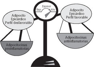 Equilibrio dependiente de la masa entre perfil favorable y desfavorable del adipocito epicárdico.