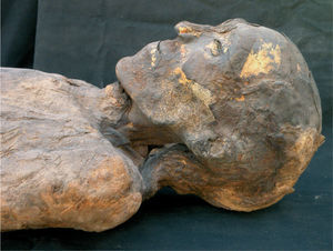 Hombre Dorado. Restos de pan de oro cubriendo el cuerpo momificado.