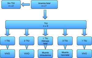 Esquema de casos de transfusión fetal intrauterina. n: número de casos; TIU: transfusión intrauterina.