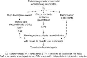 Complicaciones de los MC y sus interrelaciones. AV: arteriovenoso; CIRs: restricción del crecimiento intrauterino selectivo; SAP: secuencia anemia-policitemia; STFF: síndrome de transfusión feto-fetal; VA: venoarterial.