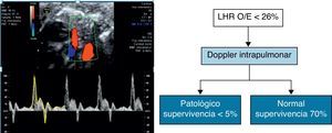 Doppler intrapulmonar normal en el grupo de HDC severa (LHR O/E < 26%) permite discriminar subgrupo de pacientes que se beneficiarán de la realización de terapia fetal.