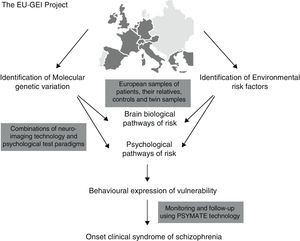 Implementation process for the European Network of Schizophrenia Networks for the study of gene environment project. (EU-GEI) interactions.