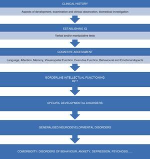 Process proposed by the CONFIL 2007 consensus group to detect and diagnose Borderline Intellectual Functioning.