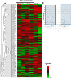 Differentiated proteins obtained after LC-ESI-MS/MS analysis in the different chronic schizophrenia patient groups: 1) group which participated in the physical activity programme, baseline score; 2) group which participated in the physical activity programme, score after 6 months and 3) group which dropped out of the physical activity programme. A) Heatmap type graph of the proteomic profile in the 3 groups. B) Volcano plot with selected proteins as significant from the heatmap data. The significant differentiated proteins are marked in blue.