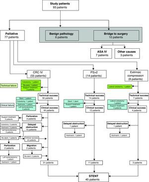 Flowchart of palliative patients treated using stents.