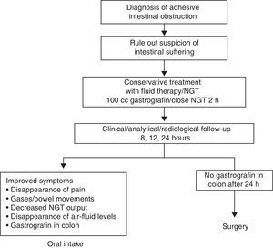 Flowchart of the protocol in cases of intestinal obstruction due to adhesions.