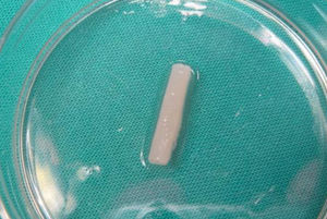 Three-dimensional Center collagen-agarose tube used.
