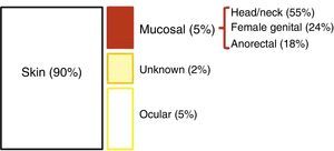 Topographical distribution of melanomas.
