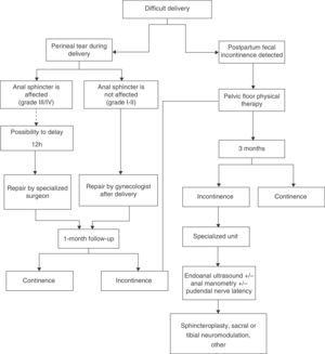 Management algorithm for postpartum fecal incontinence.