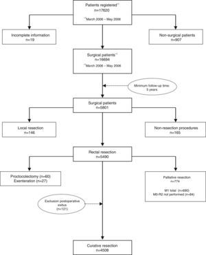 Flow diagram of the patients included in the project and in the study.