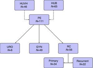 Flowchart. HUVH: Vall d¿Hebron University Hospital, HUB: Bellvitge University Hospital, PE: pelvic exenteration, URO: urological tumors, GYN: gynecological tumors, RC: rectal cancer.