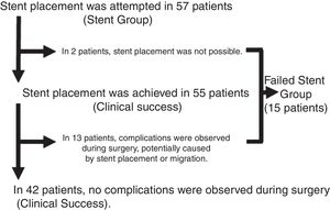 Results of stent placement attempts and subgroups.