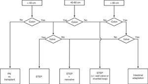 Technical decision-making algorithm for short bowel syndrome according to the length of the residual intestine and presence/absence of colon and ileocecal valve.