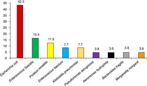 Etiology of the surgical site infections (%) (N=19).