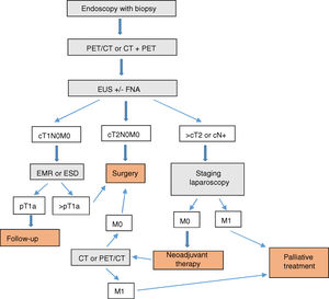 Diagnostic–therapeutic algorithm of EGJ tumors.