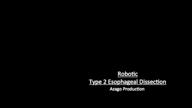 https://ars.els-cdn.com/content/image/1-s2.0-S2173507720300740-mmc1.mp4