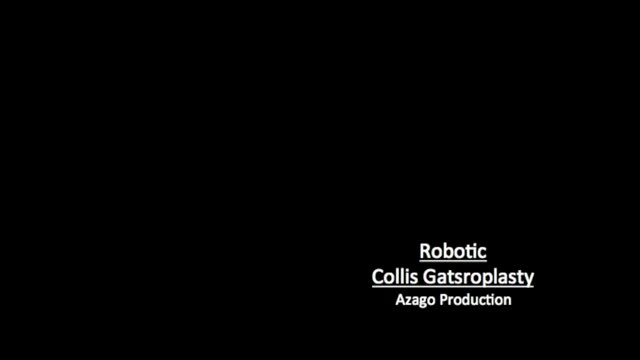 https://ars.els-cdn.com/content/image/1-s2.0-S2173507720300740-mmc2.mp4