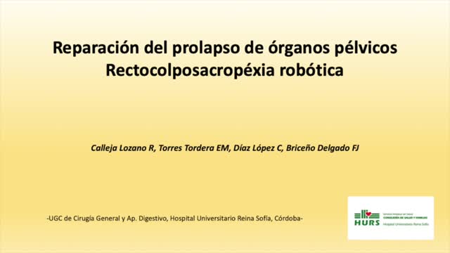 https://ars.els-cdn.com/content/image/1-s2.0-S2173507721001976-mmc1.mp4