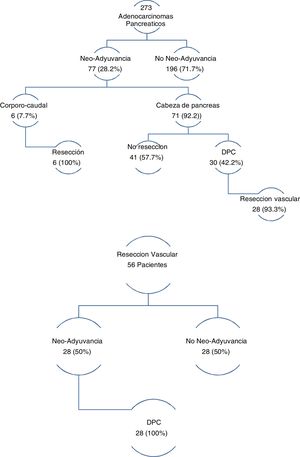 Flow diagram of neo-adjuvant therapy. PD: pancreaticoduodenectomy.