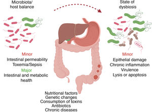 State of bacterial dysbiosis and its consequences.