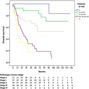 Overall survival curves according to the pathologic tumour stage in gastric cancer treated with radical surgery.