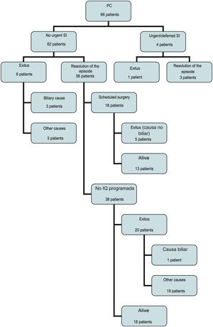 Flow diagram of the evolution and follow-up of patients treated with PC.
