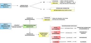 Study design. Perioperative antibiotherapy protocol in each study group.