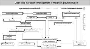 Diagnostic-therapeutic management of malignant pleural effusion.
