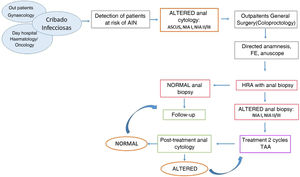 Diagnostic and therapeutic protocol for AIN in the selected at-risk population.