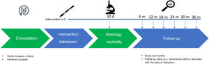 Timeline of the LORENA study with the different moments of data entry in the REDCap database. These data entries are those established in the study protocol, regardless of the usual clinical practice of each participating institution.