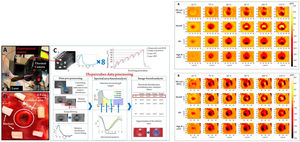 Experimental setup of a laser system with a thermal camera that records temperature values ​​throughout the procedure and a hyperspectral camera. Detail of a target area after treatment136 doi:10.3390/s21020643. Normalized variation of liver image for the 4 peculiar spectral ranges. The images are obtained with respect to the initial condition for 2 tests and for the 6 temperature thresholds.136 doi:10.3390/s21020643.