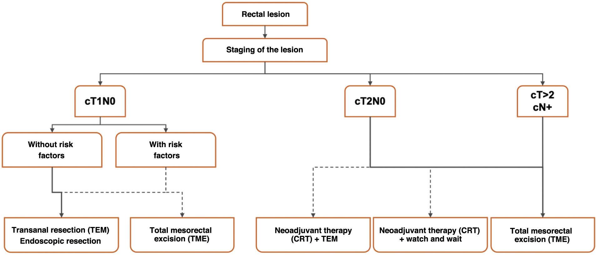 Local resection in rectal cancer: When, who and how? | Cirugía Española ...