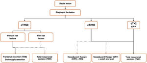 Proposed treatment algorithm in rectal cancer.