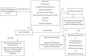Proposed updated algorithm for the management of acute irreducible inguinal hernias.