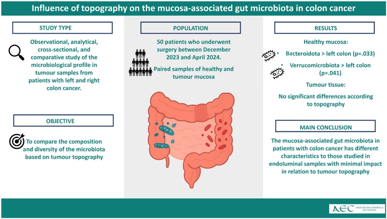 Influence of topography on the mucosa-associated gut microbiota in ...