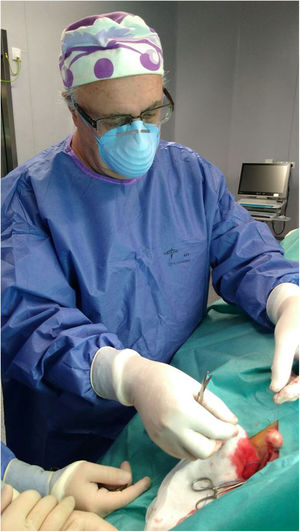 Dr. Barreiro, “Paco”, during his last surgery at the Major Outpatient Surgery Unit of the Hospital Clínico de Santiago.