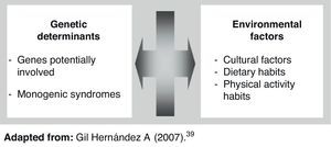 Factors involved in the development of obesity.
