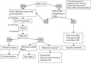 Empirical proposal of an adipocentric algorithm for the treatment of patients with T2DM. WC, waist circumference; CVRFs, cardiovascular risk factors; GLP1-R, glucagon-like type 1 peptide receptor; HbA1c, glycosylated hemoglobin; BMI, body mass index; LADA, latent autoimmune diabetes of the adult; LSCs, lifestyle changes.