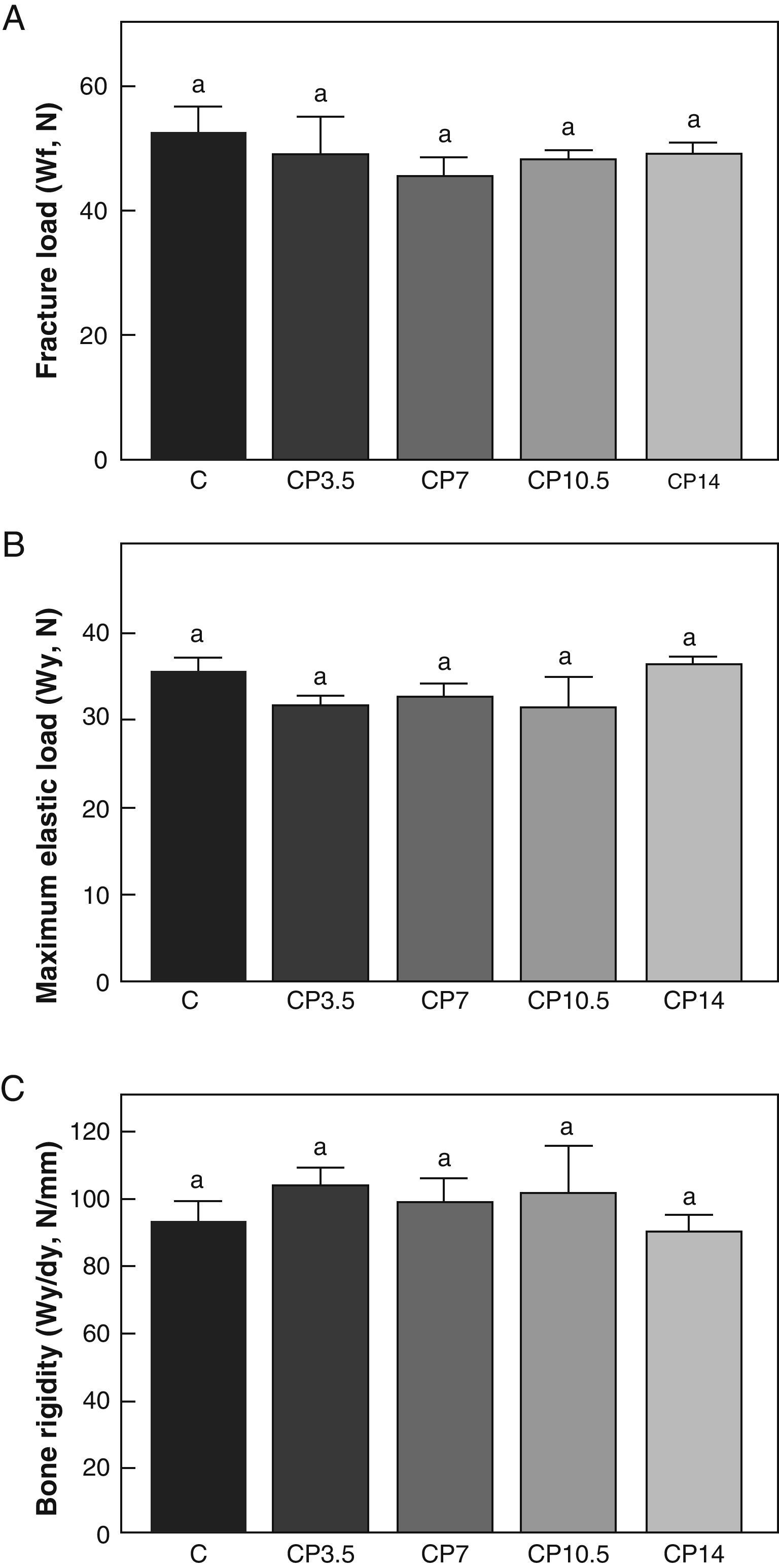 Effect of different propranolol doses on skeletal structural and mechanic efficiency in an