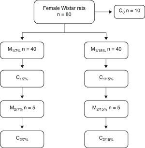 Design of the study procedure. M1: first generation mothers; M2: second generation mothers. C0: baseline group; C1: first generation pups; C2: second generation pups. Proportions of 7% and 15% indicate contents of 7g of fat/100g of diet and 15g of fat/100g of diet, respectively.