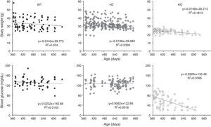 Growth and glycemia of older Gcgr−/− mice. Body weight and blood glucose levels were measured periodically in 52 wild type (WT), 127 heterozygous (HZ), and 56 Gcgr−/− mice (KO) over 22months. (Upper panels) Body weight from 12 to 22months. (Lower panels) Random blood glucose levels from 12 to 22months. The straight lines stand for the results of linear regression of body weight or blood glucose levels versus time. The linear regression equation and R squared value are shown for each graph.