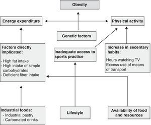 Conceptual framework of the main factors involved in obesity.