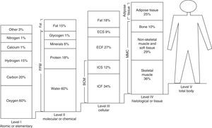 Multicompartmental or five-level model of body composition. ECF: extracellular fluid; ICF: extracellular fluid; BCM: ICF+ICS: body cell mass; FFM: fat-free mass; BLM: body lean mass; ECS: extracellular solids; ICS: intracellular solids.